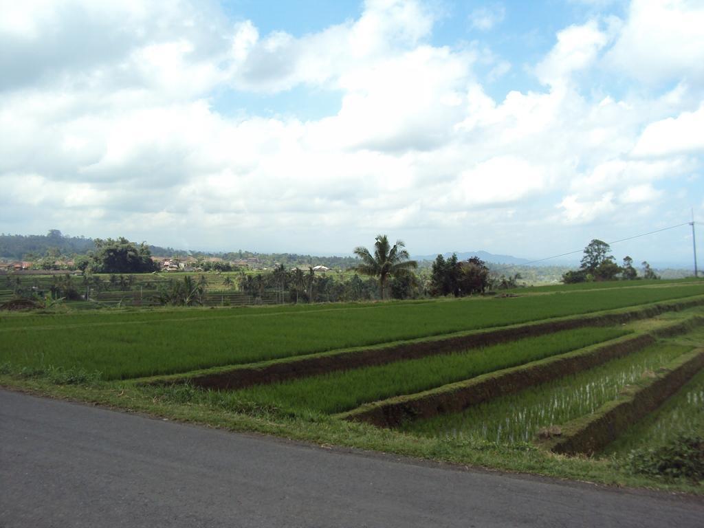 Teras Subak Jatiluwih Apartment Exterior foto