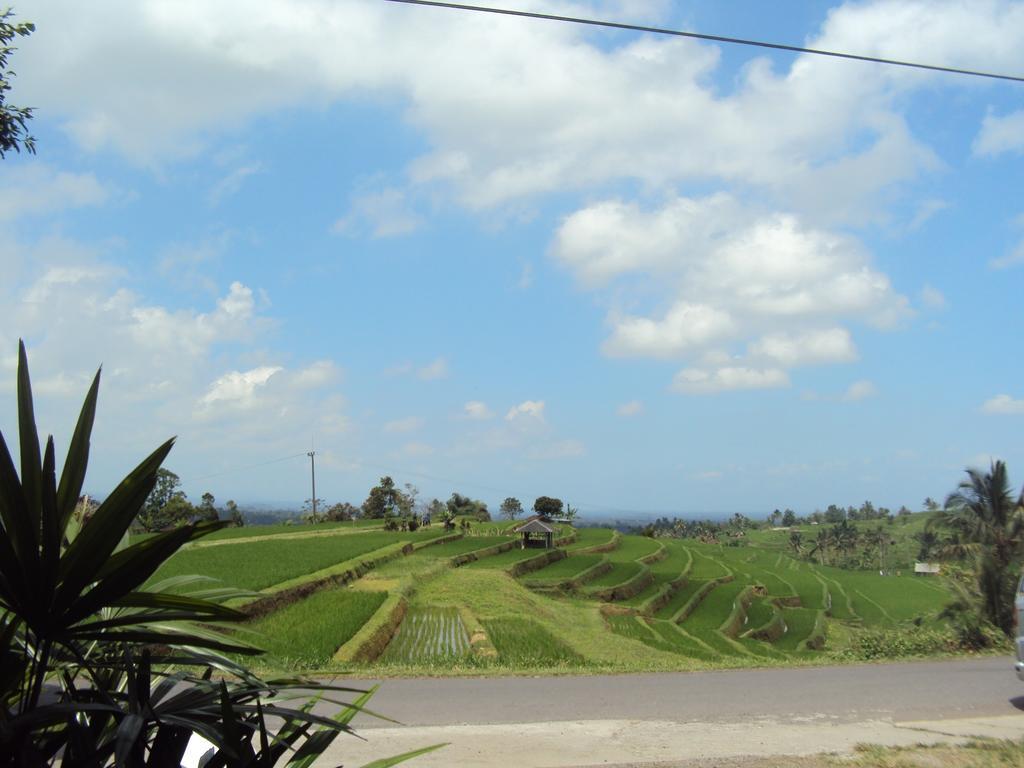 Teras Subak Jatiluwih Apartment Exterior foto